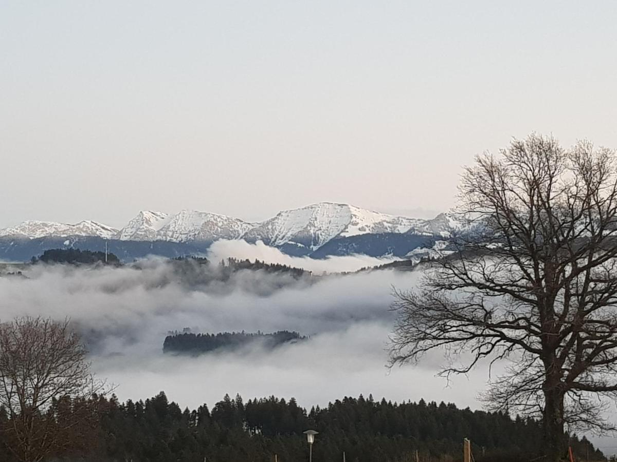 Schoenblick Hotel Garni Ferienwohnungen リンデンベルク・イム・アルゴイ エクステリア 写真